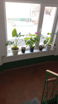 2-к квартира, 3/3 эт., 49м²