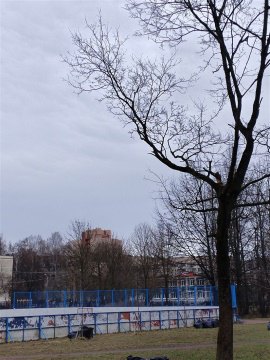 1-к квартира, 1/15 эт., 38м²